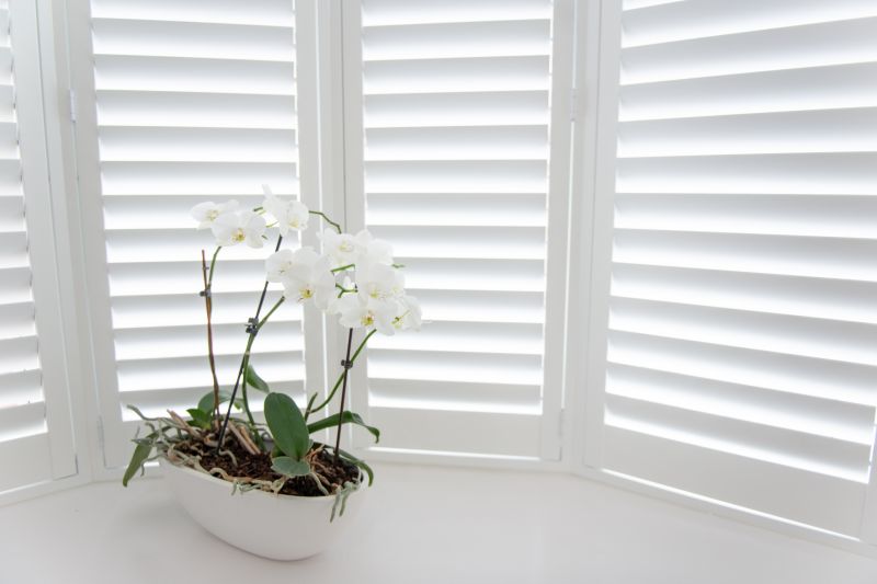 Shutter Mounting in Littleton, CO