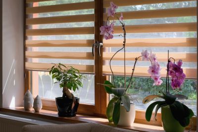 Plantation Shutters