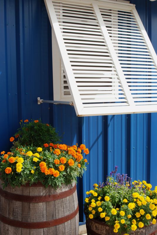 Shutters Replacement in Denver County, CO